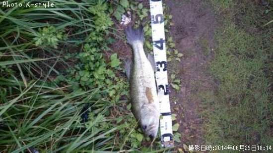 �֥�å��Х�