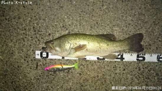 �֥�å��Х�