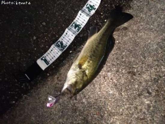 �֥�å��Х�