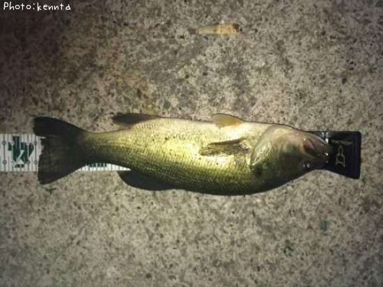 �֥�å��Х�