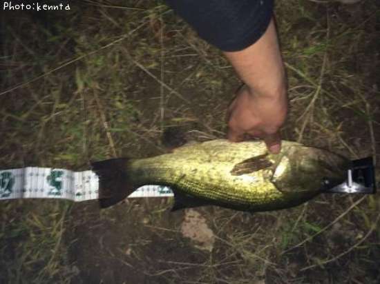 �֥�å��Х�