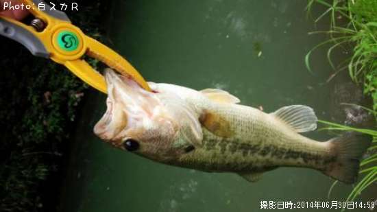 �顼���ޥ����Х�