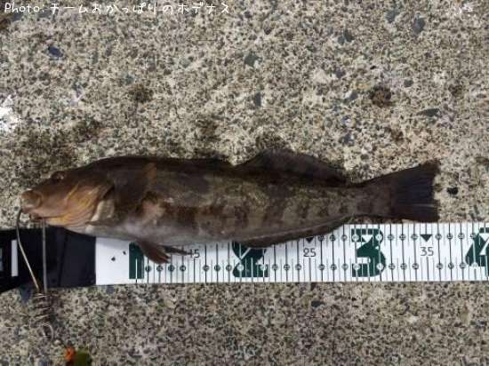 �����ʥ�