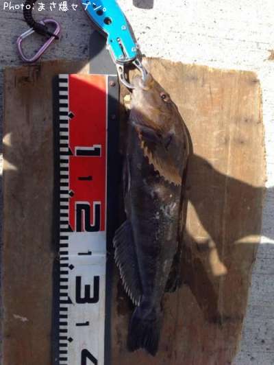 �����ʥ�