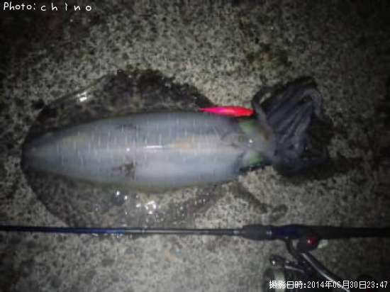 �����ꥤ��