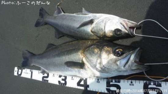 �����Х�