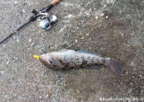 �����ʥ�