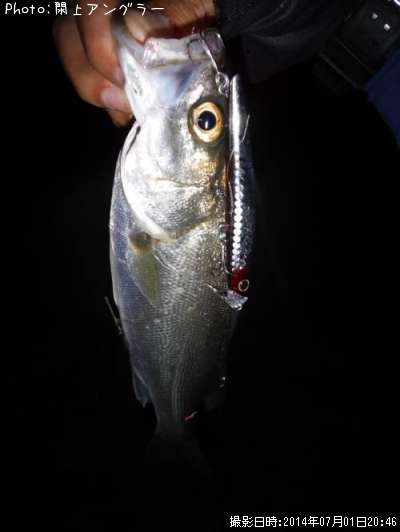 �����Х�