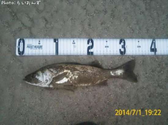 �����Х�