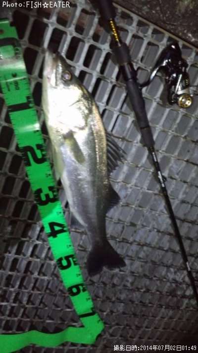 �����Х�