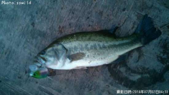 �֥�å��Х�