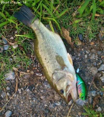 �֥�å��Х�