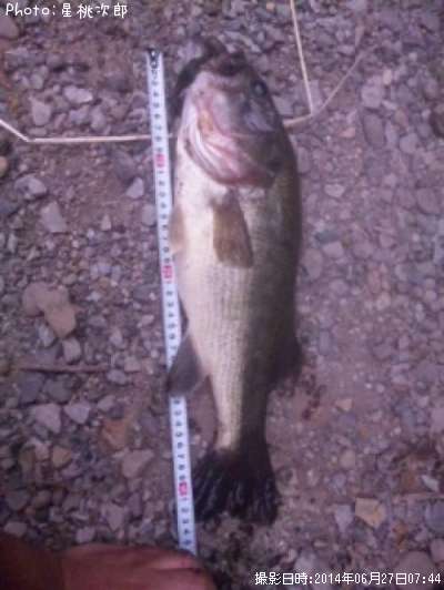 �֥�å��Х�