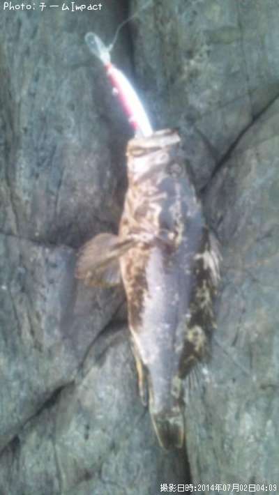 �����Υ���Х�