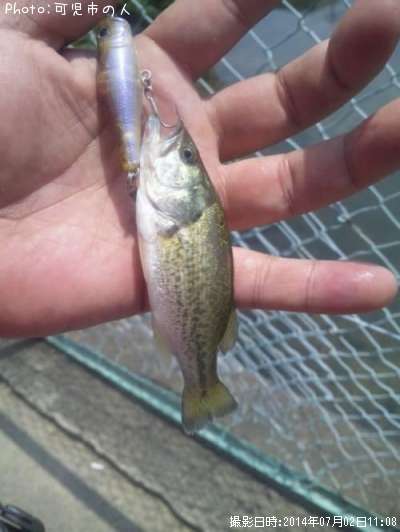 �֥�å��Х�