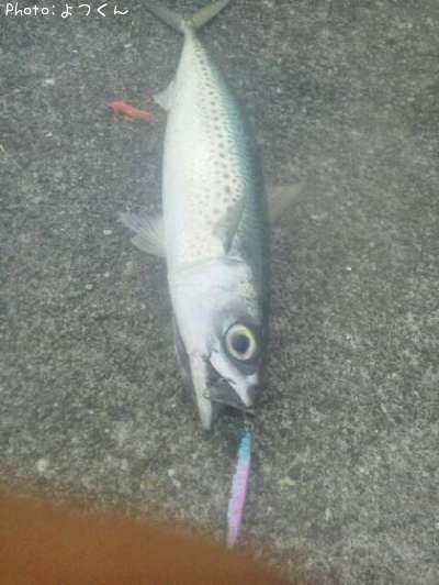 ���ޥ���