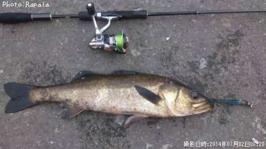 �����Х�