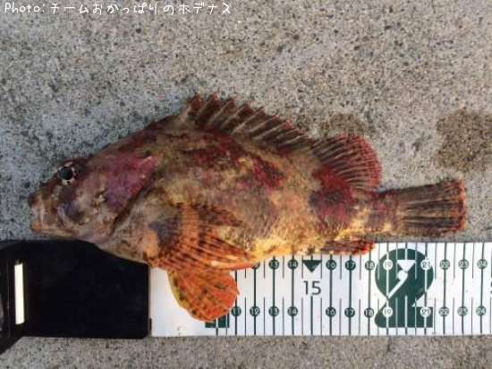 �������Х�