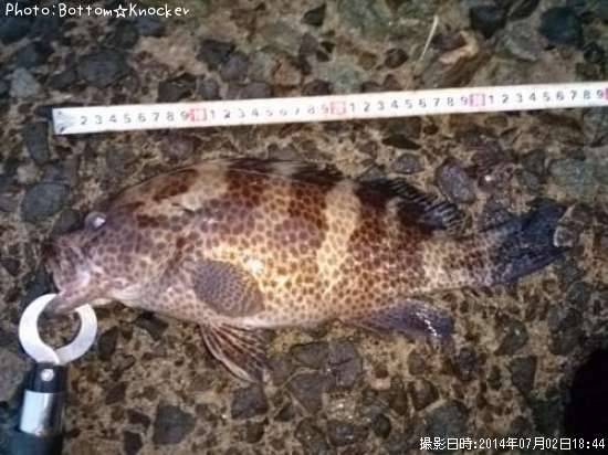 �������ϥ�