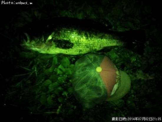 �֥�å��Х�