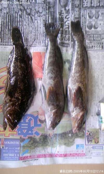 �٥å�������