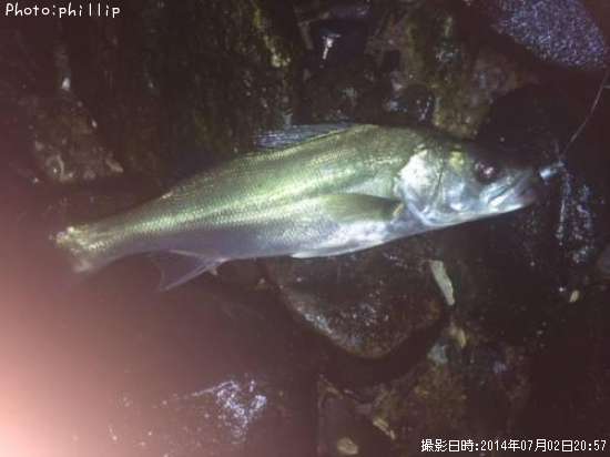 �����Х�