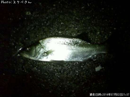 �ҥ饹����