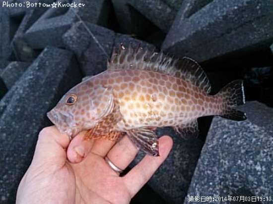 �������ϥ�