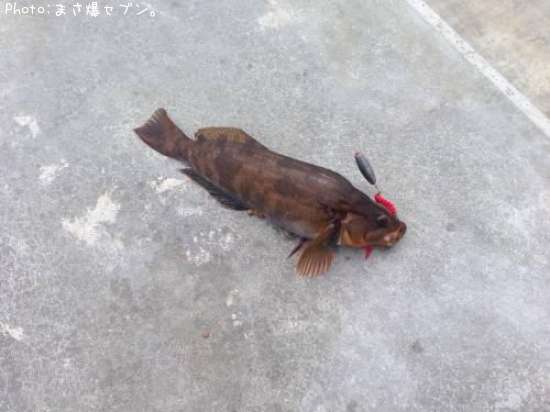 �����ʥ�