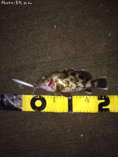 �����Υ���Х�