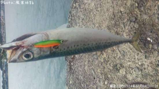 ���ޥ���