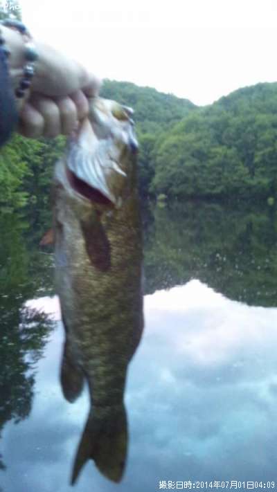 ���⡼��ޥ����Х�