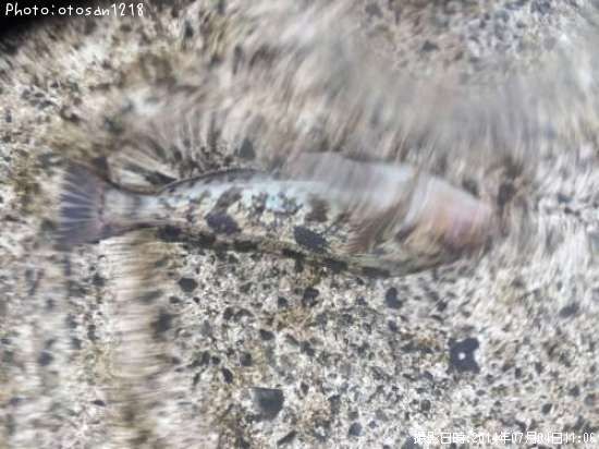 �����ʥ�