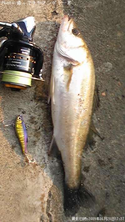 �����Х�