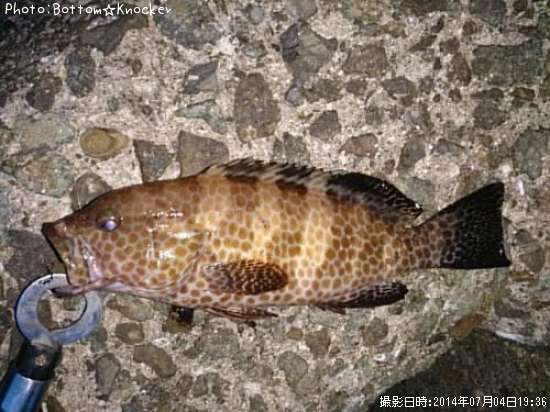 �������ϥ�