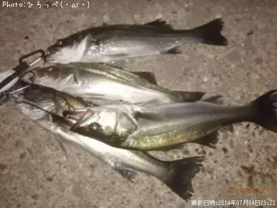 �����Х�