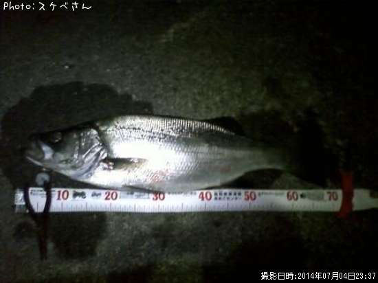 �ҥ饹����