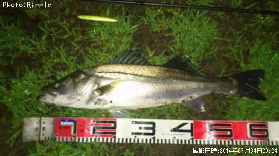 �����Х�