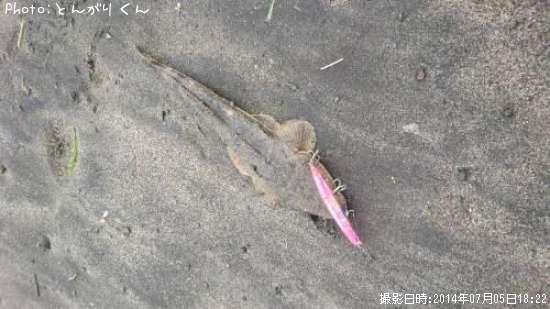 �ޥ���
