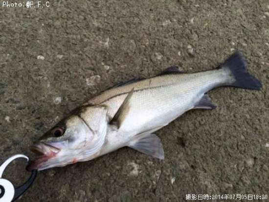 �����Х�