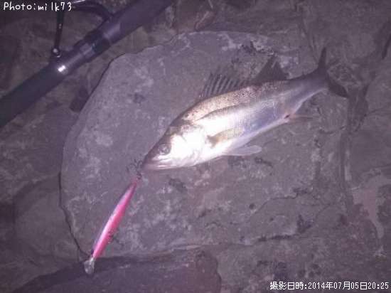 �����Х�