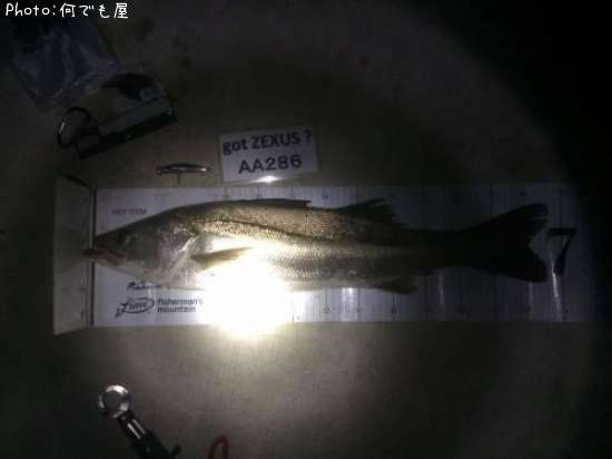 �����Х�