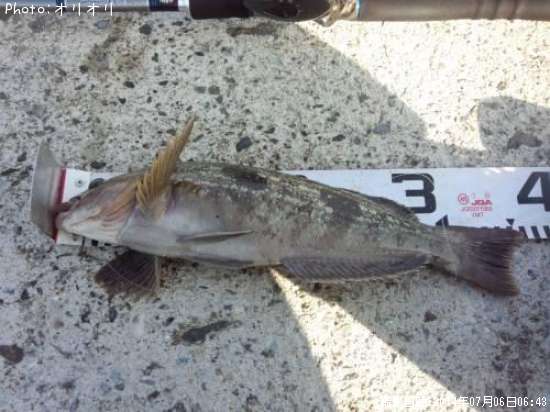 �����ʥ�