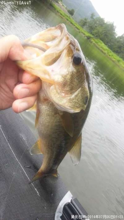 �֥�å��Х�