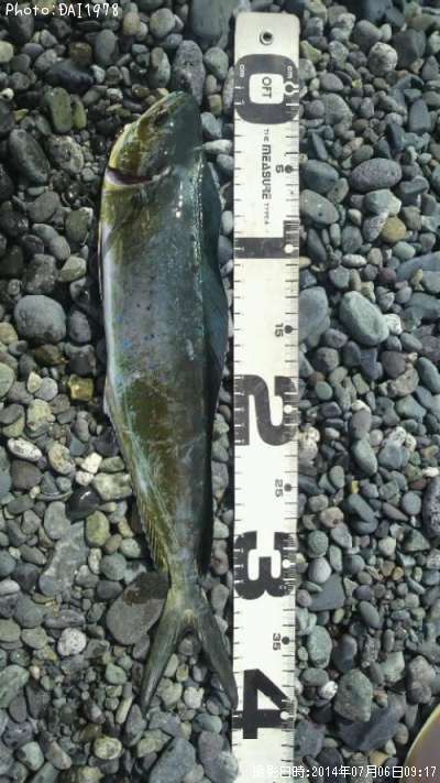 ������ʥڥ�ڥ��