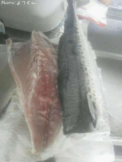 ���ޥ���