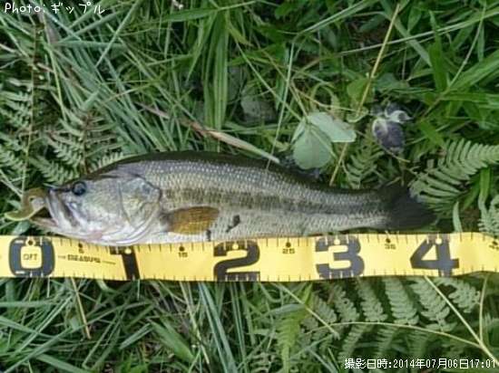 �֥�å��Х�