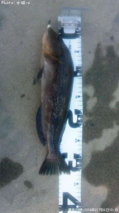 �����ʥ�