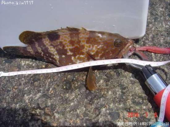 �����ϥ�