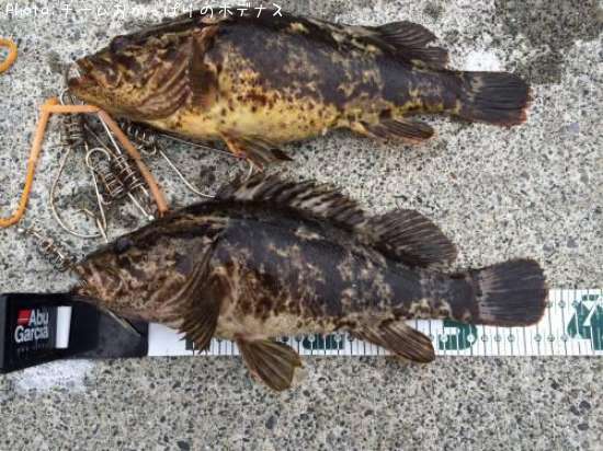 �����Υ���Х�